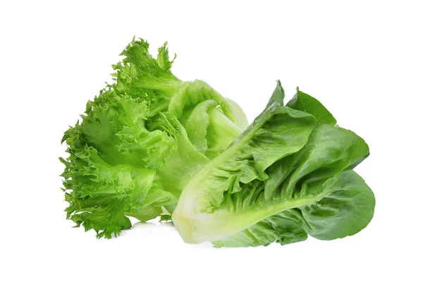 Fresh baby cos, green lettuce isolated on white background — Stock Photo, Image