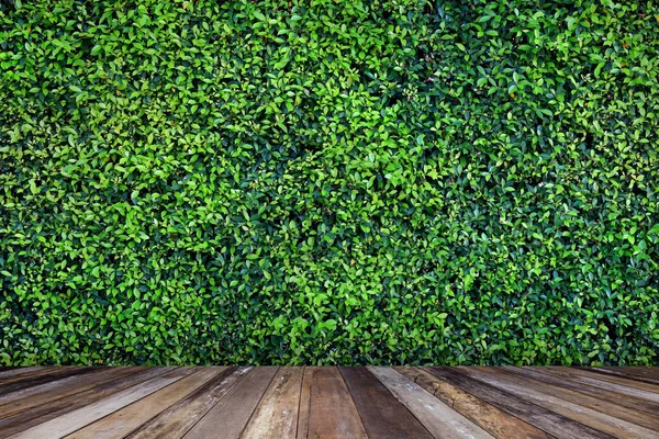 Деревянный Пол Зеленым Фоном Украшения Внутреннего Фона — стоковое фото
