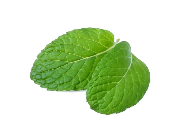 Hoja de menta fresca aislada sobre fondo blanco —  Fotos de Stock