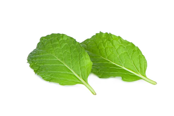 Hoja de menta fresca aislada sobre fondo blanco —  Fotos de Stock