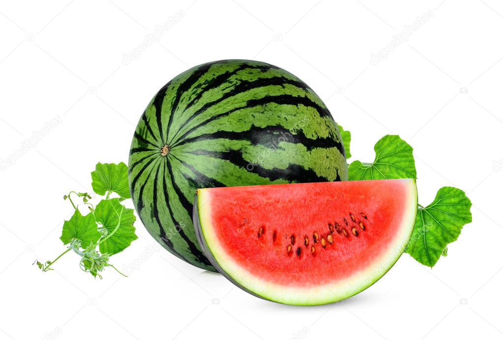 whole and slices watermelon with green leaves isolated on white 