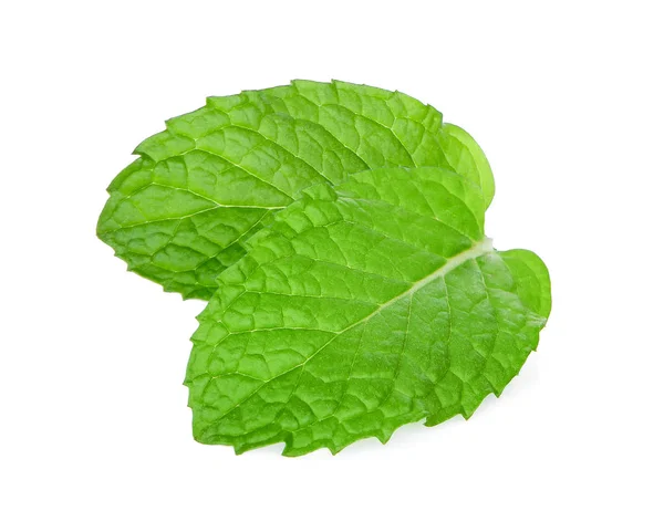 Dos hojas frescas de menta aisladas sobre fondo blanco —  Fotos de Stock