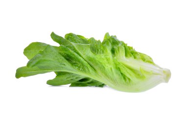 taze beyaz zemin üzerine yeşil marul izole çünkü bebeğim