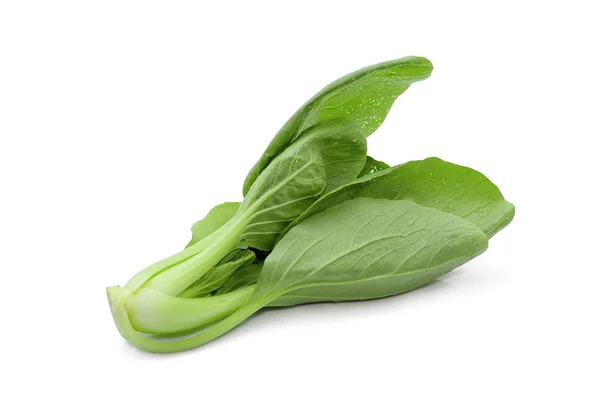 新鮮な緑青梗菜、白菜または朴チャイ whi の分離 — ストック写真