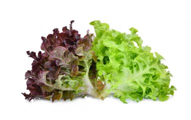 izole üzerinde beyaz b taze kırmızı ve yeşil meşe marul salata yaprakları