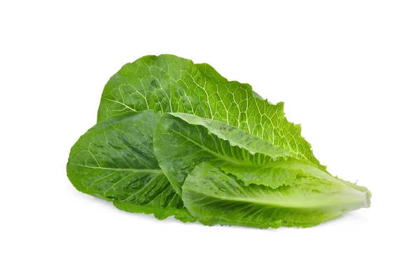 Свіжий лист салату ізольований на білому фоні — стокове фото