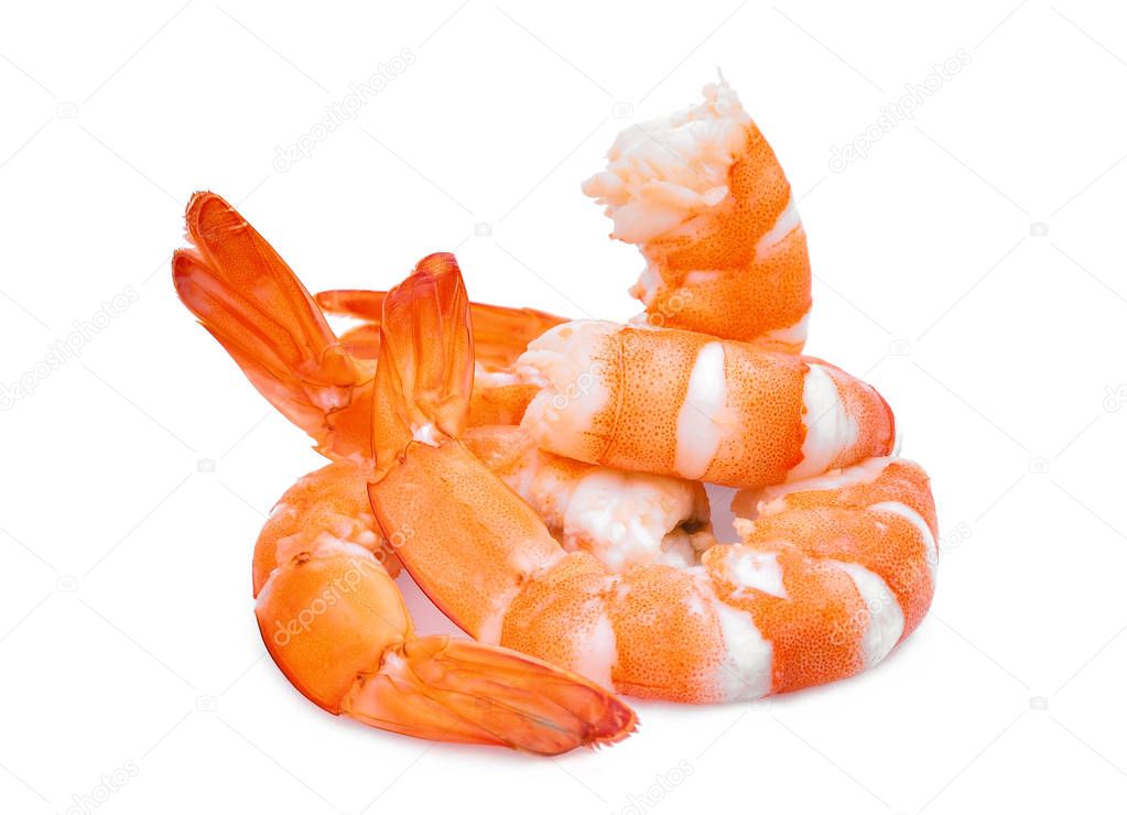 shrimp isolated on white background