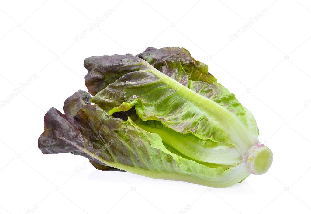 fresh cos, green lettuce isolated on white background