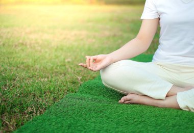 Kadınlar gün batımında yoga yapıyorlar yeşil çimlerin üzerinde, meditasyon yapıyorlar.