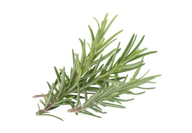 Beyaz arkaplanda biberiye izole edildi