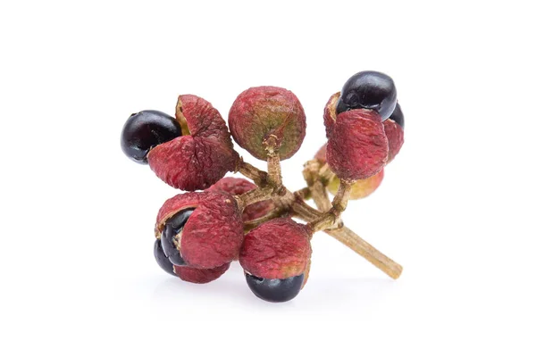 Poivre de Szechuan (Zanthoxylum piperitum), fruits isolés au fouet — Photo