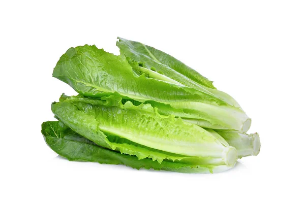 Lechuga verde fresca cos aislada sobre fondo blanco — Foto de Stock