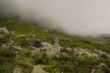 bulutlar ve sis kaplı dağın