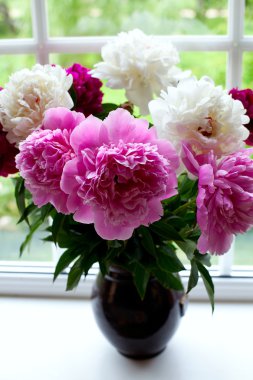 pencere pervazına üzerinde renkli peonies vazo