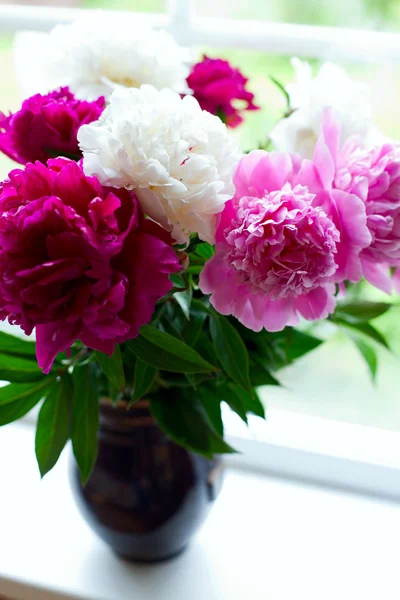 Vase avec pivoines colorées sur le rebord de la fenêtre — Photo