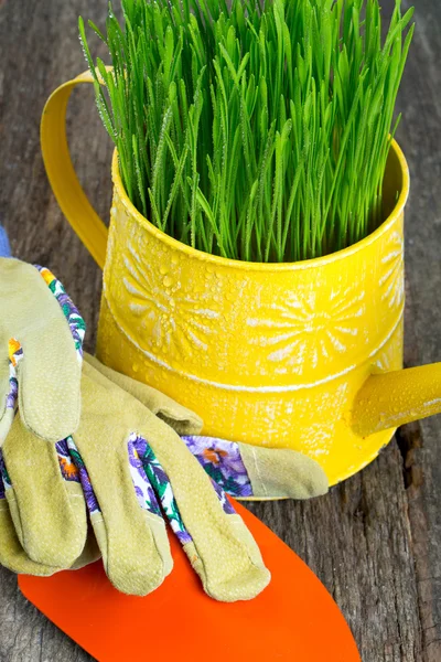 Regadera con hierba verde y herramientas de jardinería —  Fotos de Stock
