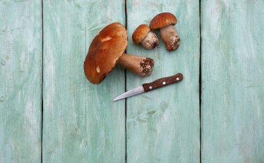 ahşap yüzeyde taze mantar