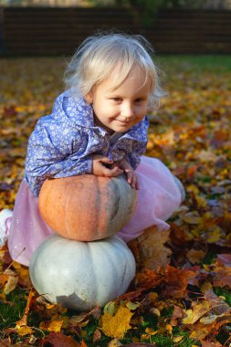 Tatlı sarışın. 3 yaşında balkabaklı bir kız.