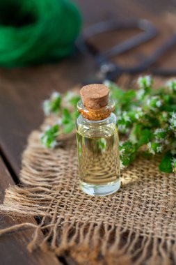 Taze kestane yeşili bitkisiyle gerekli yağ