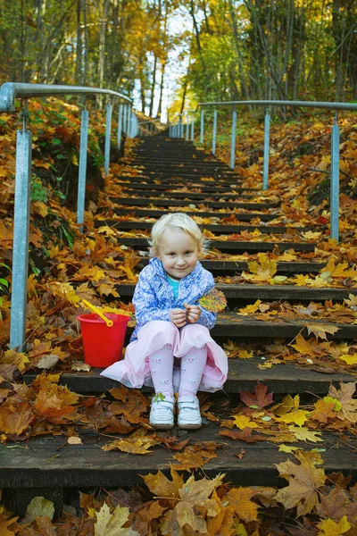 Симпатичная Трехлетняя Девочка Осеннем Лесу — стоковое фото