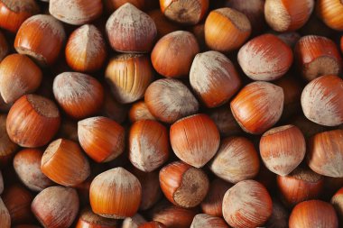 Fındıklara yakın çekim, yemek geçmişi.