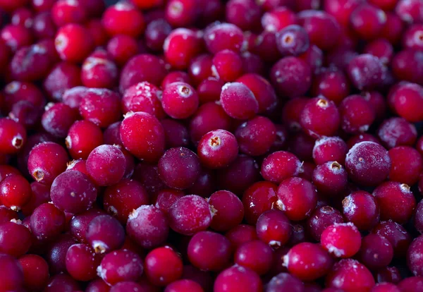 Frozen Cranberries Background Healthy Berries — Stock Photo, Image
