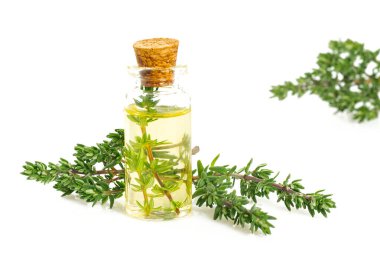 beyaz izole kekik yağı