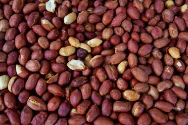 freshly roasted salted peanuts background