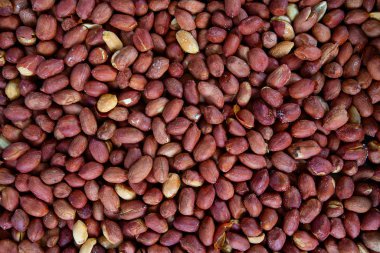 freshly roasted salted peanuts background