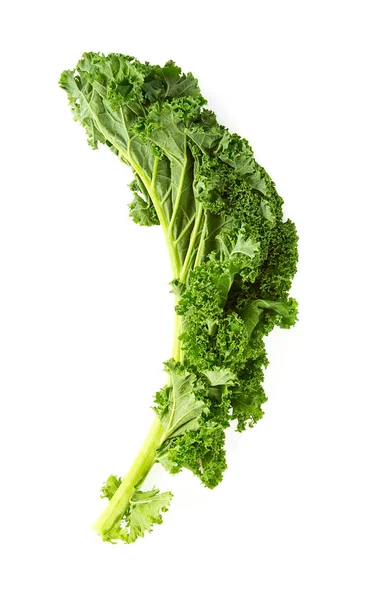 Kale cabbage isolated on white — Stock Photo, Image