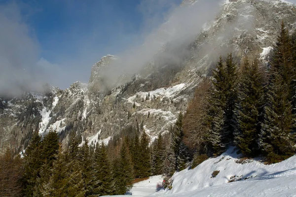 Wunderschöne Berg Und Waldlandschaft Mit Einer Schmelzenden Wolke — Stockfoto