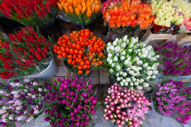 Sokak pazarında renkli laleler