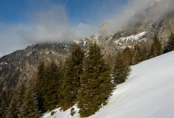 Красивий Гірський Лісовий Пейзаж Таненням Хмари — стокове фото
