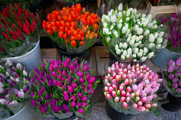 Kolorowe Tulipany Targu Ulicznym — Zdjęcie stockowe