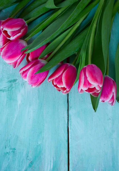 Rosa Tulpen Auf Türkisfarbener Holzoberfläche — Stockfoto