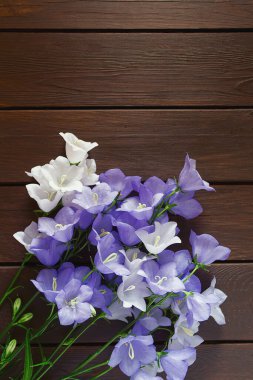 Ahşap yüzeyde mavi çan çiçekleri