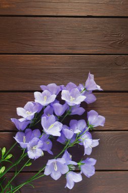 Ahşap yüzeyde mavi çan çiçekleri