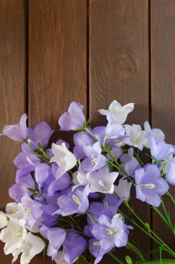 Ahşap yüzeyde mavi çan çiçekleri