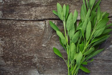 Ahşap yüzeyde bilge