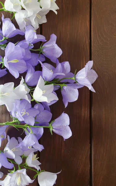 Μπλε Λουλούδια Καμπάνα Στην Ξύλινη Επιφάνεια — Φωτογραφία Αρχείου