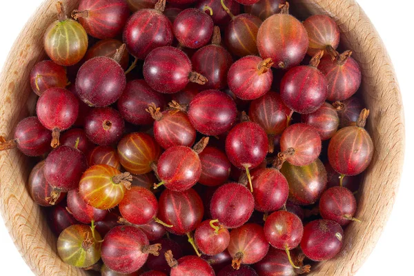 Rode Kruisbes Geïsoleerd Witte Achtergrond — Stockfoto