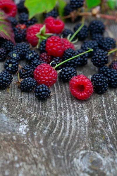 Frambuesas Moras Frescas Sobre Una Superficie Madera Eustica — Foto de Stock