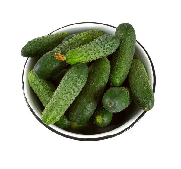 Komkommers Geïsoleerd Wit — Stockfoto