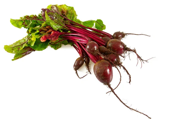 Beetroot Isolated White — Stock Photo, Image