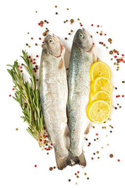 Nehir alabalığı beyaz arkaplanda izole edilmiş