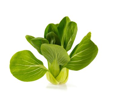 Beyaz arka planda taze pak choi lahanası