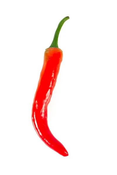 Rode Chilipeper Geïsoleerd Wit — Stockfoto