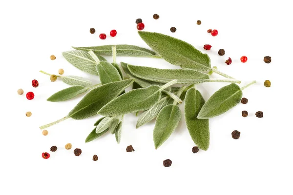 Fresh Herbs Spices — Stock Photo, Image