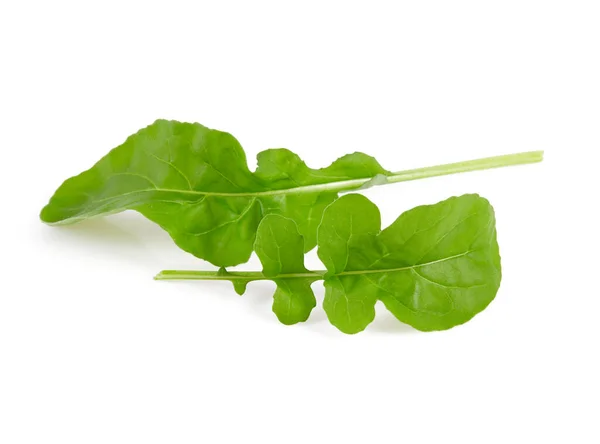 Green Lettuce Leave Close Shot — Stock Photo, Image
