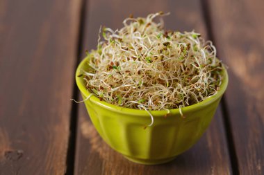 Koyu ahşap yüzeyde lucern mikropları